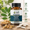 Boswellia Extract (90Capsule)