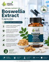 Boswellia Extract (90Capsule)