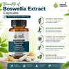 Boswellia Extract (90Capsule)