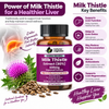 Milk Thistle Extract Capsule