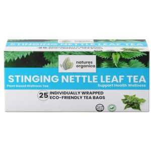 Nettle_leaf_1